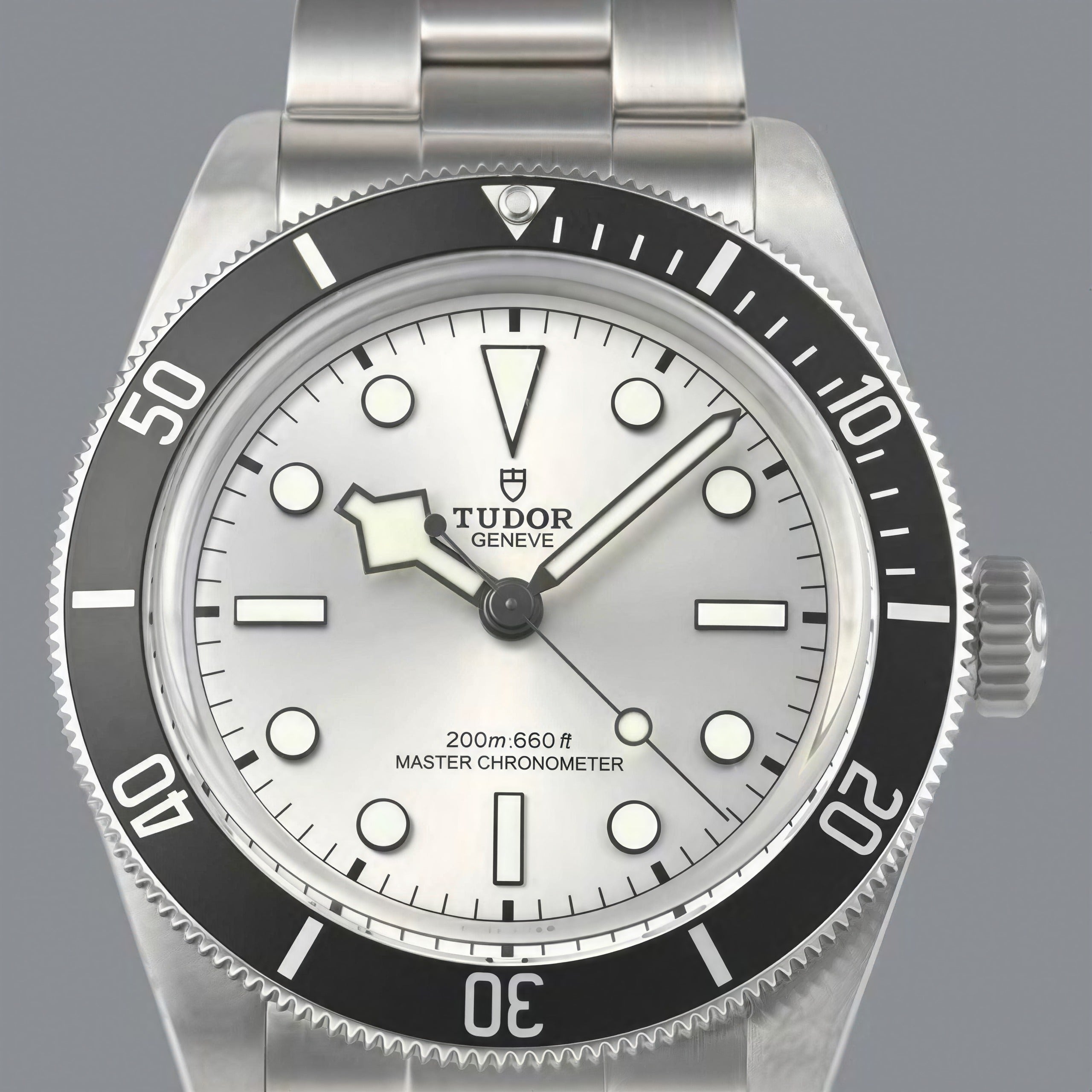 Tudor Black Bay